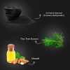 Lotus Charcoal Anti Pollution Facial Kit