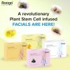 Raaga Fairness Facial Kit